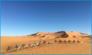 tours from Marrakech to desert