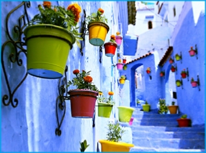 Experience the Best of Morocco on a 15-Day Private Tour from Casablanca
