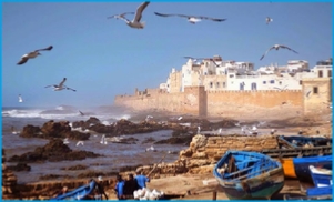 day trips from marrakech ,Fes excursions